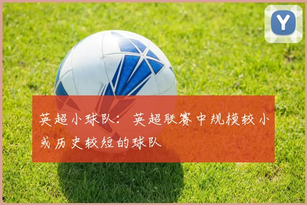英超小球队：英超联赛中规模较小或历史较短的球队