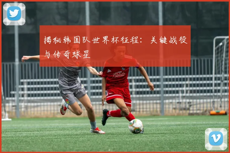 揭秘韩国队世界杯征程:关键战役与传奇球星